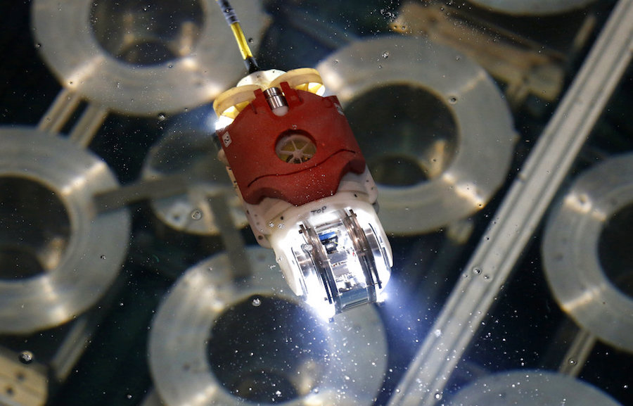  In this June 15, 2017, file photo, newly developed robot for underwater investigation at the Fukushima's damaged reactor, moves in the water at a Toshiba Corp. test facility in Yokosuka, near Tokyo. The underwater robot on Wednesday, July 19, 2017, captured images and other data inside Japan's crippled Fukushima nuclear plant on its first day of work. The robot is on a mission to study damage and find fuel that experts say has melted and mostly fallen to the bottom of a chamber and has been submerged by highly radioactive water. (AP Photo/Shuji Kajiyama, File)